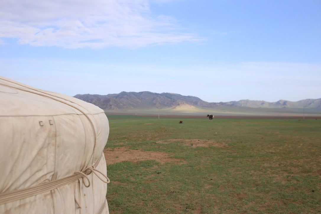 "The future is Sustainable for Cashmere"